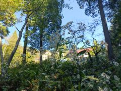 -印象牯岭小厨(牯岭街店)