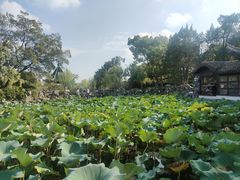 -无锡蠡湖国家湿地公园-蠡园