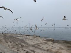 -星海广场