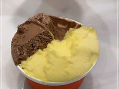 -Dal Cuore 达可芮冰淇淋(陕西北路店)