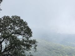 -青城山