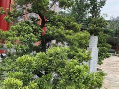 -龙潭水乡