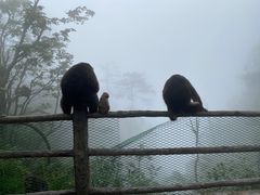 -峨眉山风景名胜区