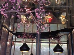 -老板恋上鱼(高新万达店)