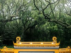-普陀山雷迪森庄园