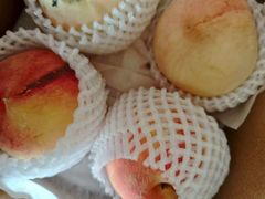 -南汇新场正宗水蜜桃采摘