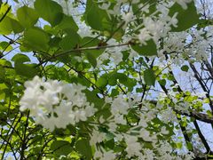 -千佛山风景名胜区-历山院