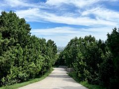 -北京西山国家森林公园