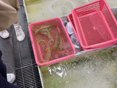 -老字号蛇口德记烧腊饭店·海鲜加工