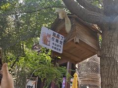 -佛慧山