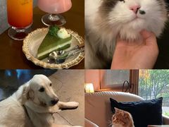 -咖法森林·咖啡  酒吧(天河店)