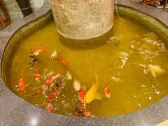 -古莲·影院足道·按摩SPA(水上温泉店)