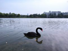 -江南大学(蠡湖校区)