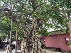-闽粤南澳总镇府