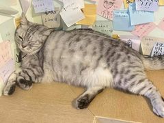 -H立方实景剧情密室(天河旗舰店)