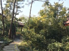 -威海天沐度假区温泉