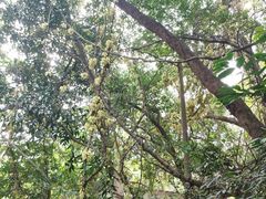 -白水带风景区体育公园