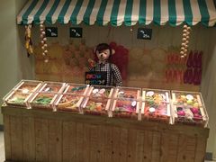 -济州岛泰迪熊博物馆