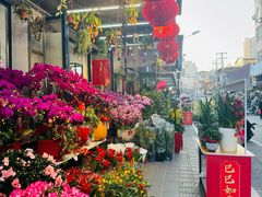 -溪岸路花鸟市场