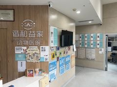 -谐和益家动物医院·免疫绝育·血液透析·宠保定点医院(高新伊藤分院)