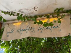 -野草莓自由市场