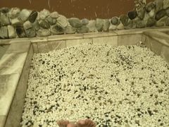 -水立方国际汤泉(六一中路店)