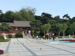 -南戴河旅游度假区