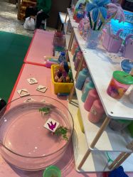 -卡通尼·Safari非洲探索乐园·生日会(金桥国际商业广场店)