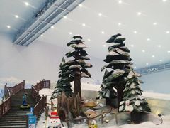 -哈尔滨热雪奇迹