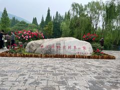 -习家池