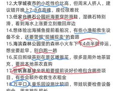 -日照海滨国家森林公园