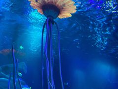 -沈阳海洋探索中心