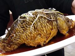 -津菜宋记老房子(鼓楼店)