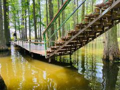 -渌洋湖湿地公园