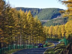 -塞罕坝国家级自然保护区