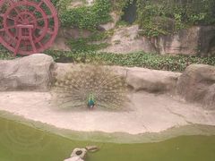 -南昌动物园