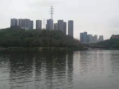 -重庆彩云湖湿地公园