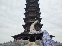 -江苏三台山国家森林公园