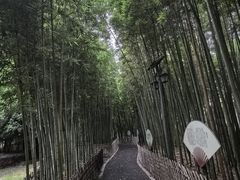 -陈家山荷花公园