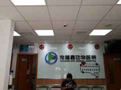 -宠福鑫动物医院(城北分院)