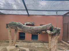 -青藏高原野生动物园