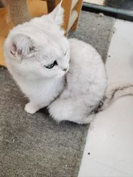 -熙.Hair 丨专注女子中长发丨