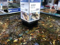 水产区-盒马鲜生(皇庭广场店)