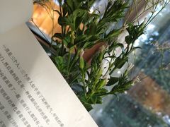 -青岛市图书馆