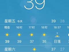 -锅贴大王南翔小笼(临沂二村店)