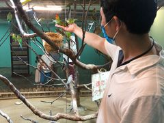 -上海大自然野生昆虫馆(东方明珠·爬宠昆虫探索中心)