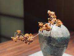 -物心空间