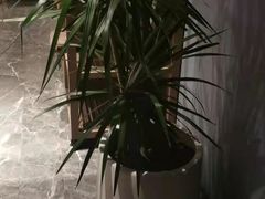 -徐记海鲜(南油永新汇店)