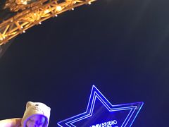 -影汇之星8字形摩天轮