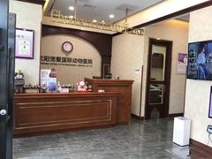-宠爱国际动物医院· 猫科· 外科·中兽医(长白店)